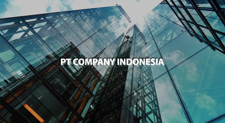 What is PT in Indonesia Company?