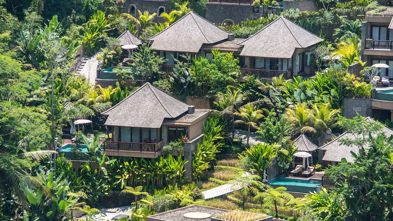 Is 2024 The Right Time to Open Business in Bali?