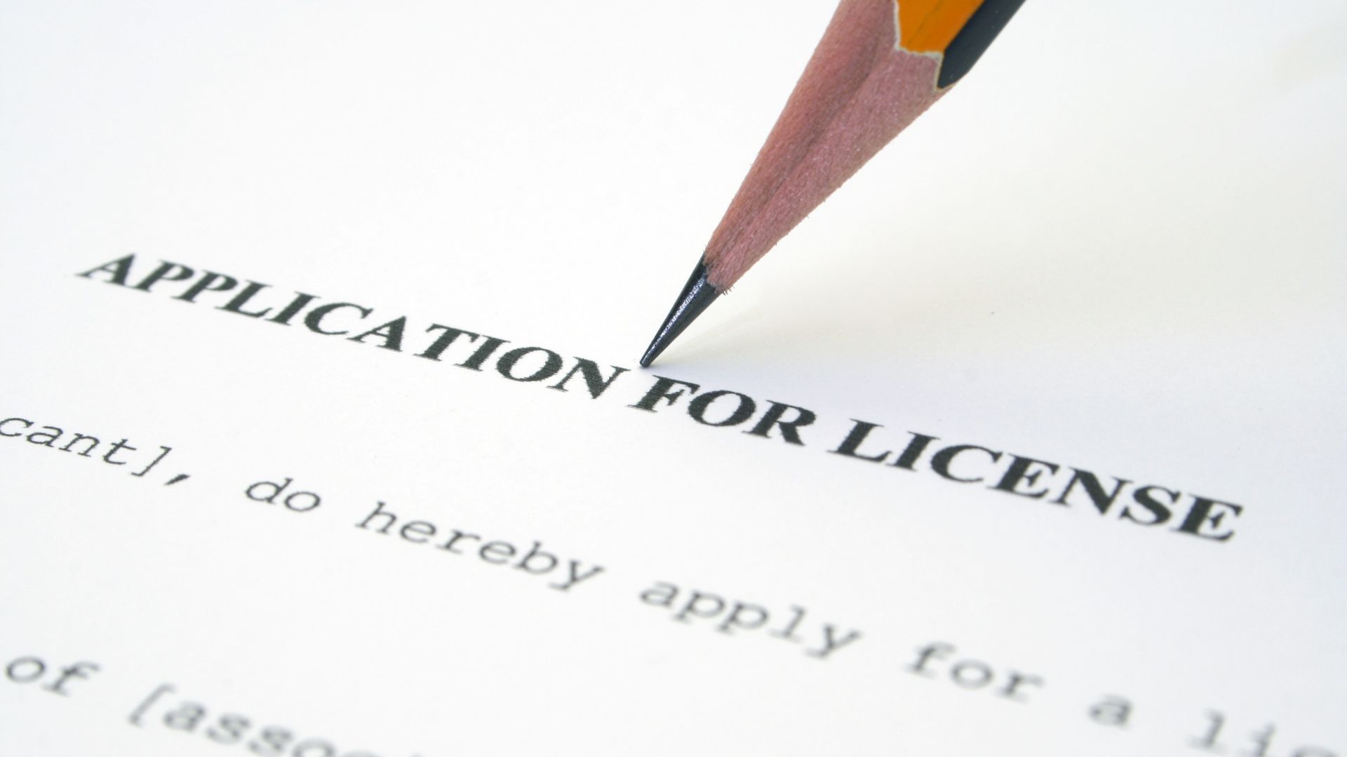 Licenses You Need After Company Registration in Indonesia