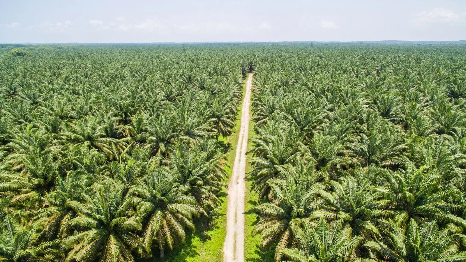 Why Environmental Approval (UKL-UPL or AMDAL) May Be Required Before Obtaining Operational Licenses?